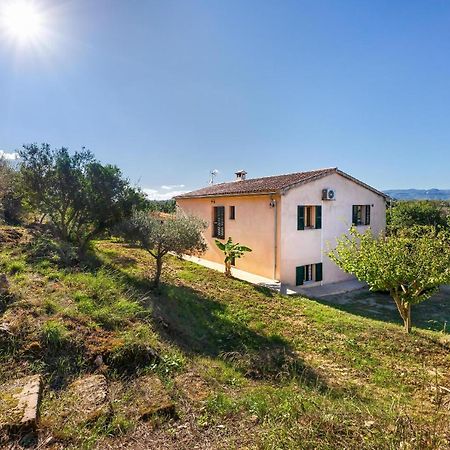 Villa Son Allarga Costitx  Екстериор снимка
